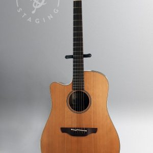 Takamine EAN10CLH (Lefty) Acoustic Guitar - Natural