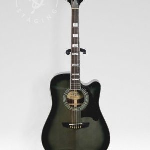 D'Angelico Bowery Acoustic Guitar - Silver Burst