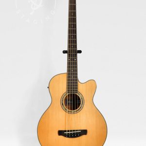 Ibanez AEB105 5-String Acoustic Bass - Natural