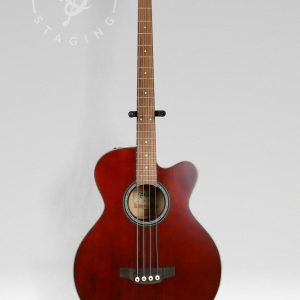 Takamine PBS ANS Acoustic Bass - Natural