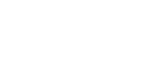 CJ Martin and Company logo
